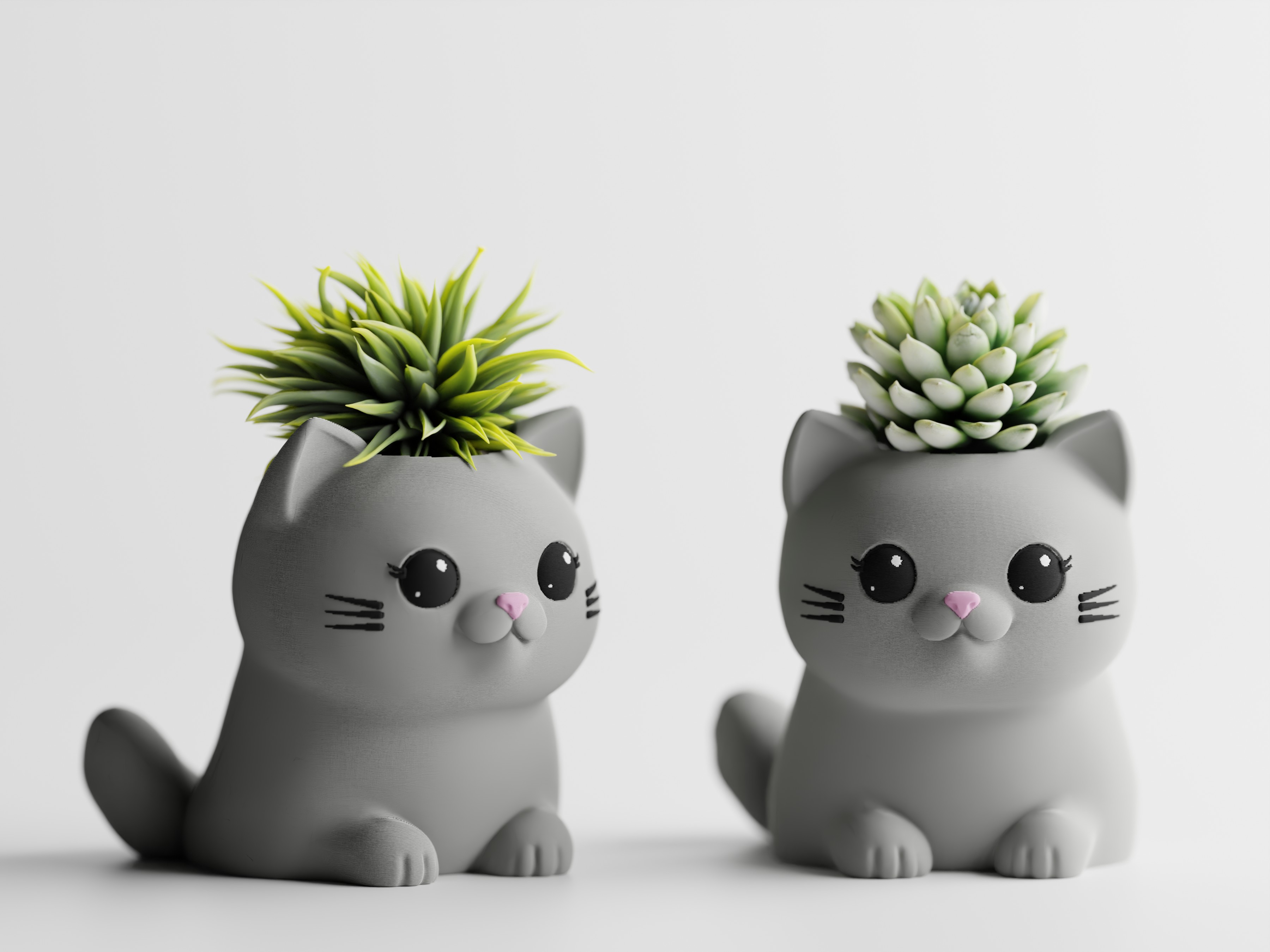 گلدان گربه ای