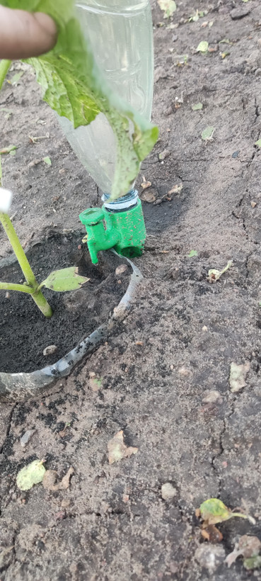آبیاری قطره ای بطری ای