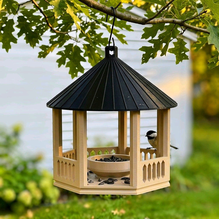 غذا خوری پرندگان